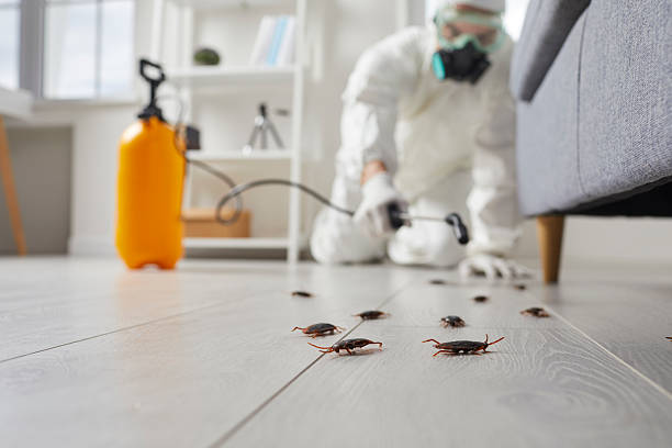 Commercial Kitchen Cockroach Control in Lowes Island
